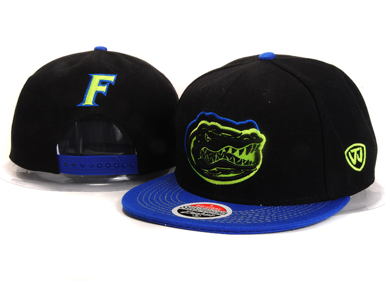 NCAA Florida Z Snapback Hat #02